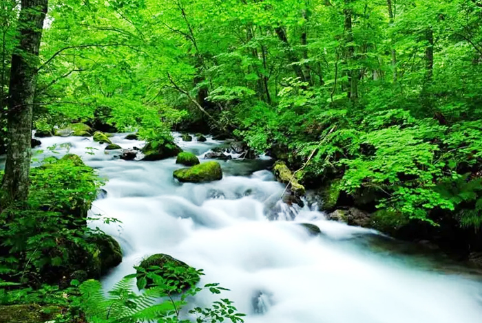 每人折1千 東北星空物語四重奏5日~$26,900起