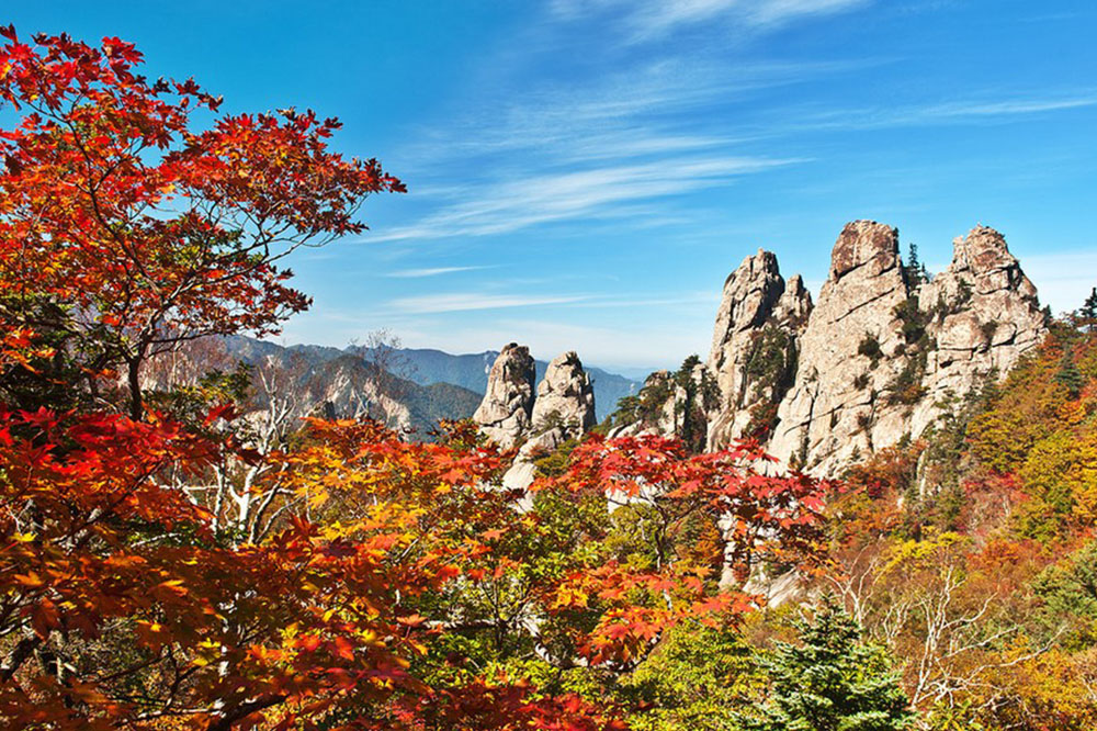 彩妝1站 【高雄出發】秋楓雪嶽山５日~$26,900起